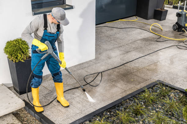 Best Roof Power Washing Services  in Petersburg, IL